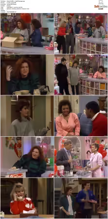 The Facts of Life S08 WEB x264-NGP