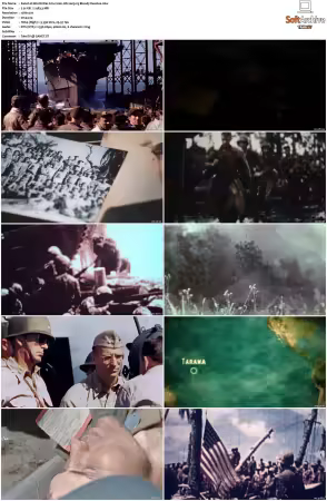 WWII in HD 2009 S01 720p BluRay DTS x264-DON