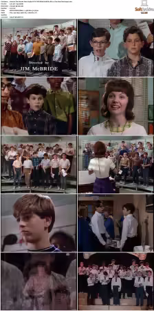 The Wonder Years S01-S06 NTSC DVD REMUX MPEG2 DD 2.0 Homecoming-Rmp4L