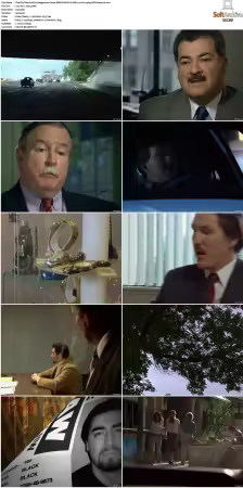 The F.B.I. Files S01 S07 AMZN WEB-DL DDP2.0 H264-playWEB