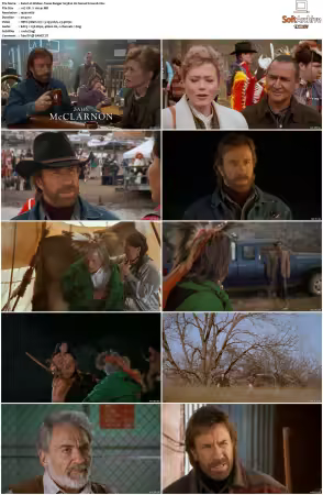 Walker Texas Ranger 1993 S01-S09 1080p WEB-DL H265 10bit DDP2.0-Zero00