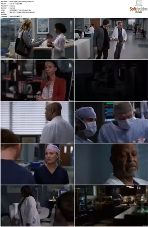 Greys Anatomy S16 DVDRip x264-PFa