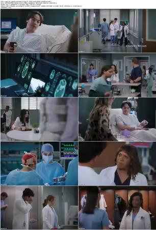 Greys Anatomy S22E11 720p WEB H264-iNSiDiOUS