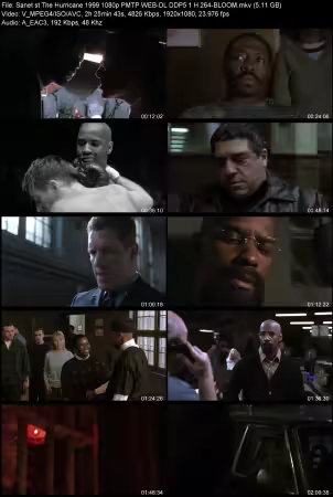 The Hurricane 1999 1080p PMTP WEB-DL DDP 5.1 H264-BLOOM