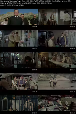 The Sons of Katie Elder 1965 1080p PMTP WEB-DL AAC 2.0 H264-BLOOM