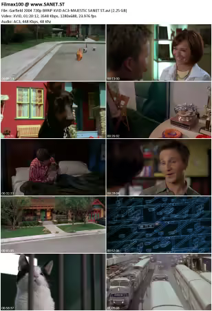 Garfield 2004 720p BRRiP XViD AC3-MAJESTiC