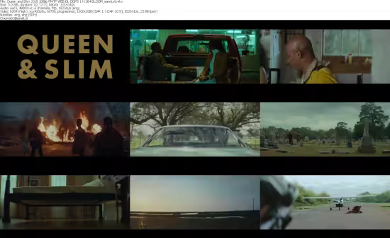 Queen and Slim 2019 1080p PMTP WEB-DL DDP5 1 H 264-BLOOM
