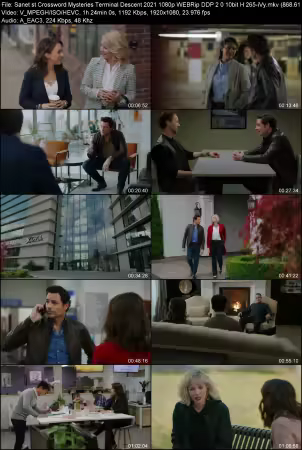 Crossword Mysteries Terminal Descent 2021 1080p WEBRip DDP 2.0 10bit H265-iVy