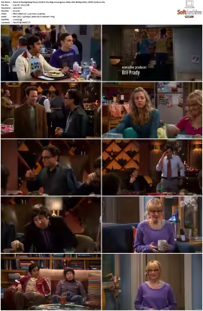 The Big Bang Theory 2007 Season 5 S05 1080p BluRay x265 HEVC 10bit AAC 5.1 Vyndros