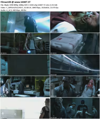 Blade 1998 BRRip 1080p DD5 1 H265-d3g
