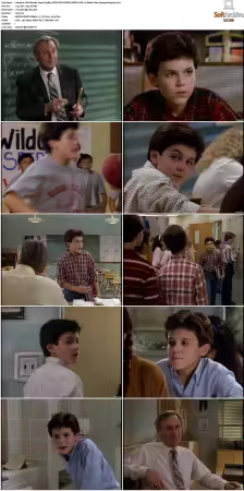 The Wonder Years S01-S06 NTSC DVD REMUX MPEG2 DD 2.0 Homecoming-Rmp4L