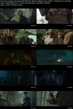 Valley of the Dead 2020 REPACK 1080p NF WEB-DL DUAL DDP 5.1 H264-SQS