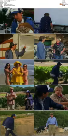 Im With Busey S01 XviD-NOGRP