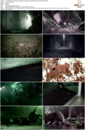 Nightmares of Nature 2025 S02 2160p NF WEB-DL DDP 5 1 Atmos DV H265-CHDWEB