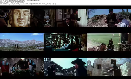 The Stranger and the Gunfighter 1974 1080p BluRay x264-OFT