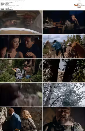 Walker Texas Ranger 1993 S01-S09 1080p WEB-DL H265 10bit DDP2.0-Zero00