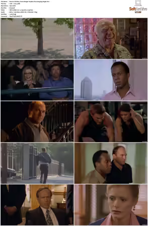 Walker Texas Ranger 1993 S01-S09 1080p WEB-DL H265 10bit DDP2.0-Zero00