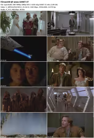 Spaceballs 1987 BRRip 1080p DD5 1 H265-d3g