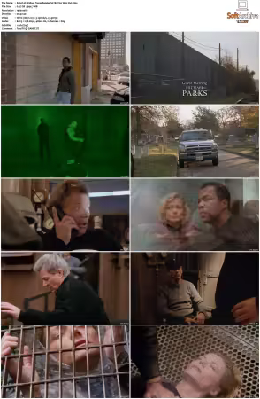 Walker Texas Ranger 1993 S01-S09 1080p WEB-DL H265 10bit DDP2.0-Zero00