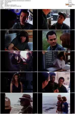 China Beach 1988 S01-S04 1080p H265 AAC 2CH-MNKYDDL