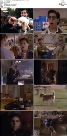 The Wonder Years S01-S06 NTSC DVD REMUX MPEG2 DD 2.0 Homecoming-Rmp4L