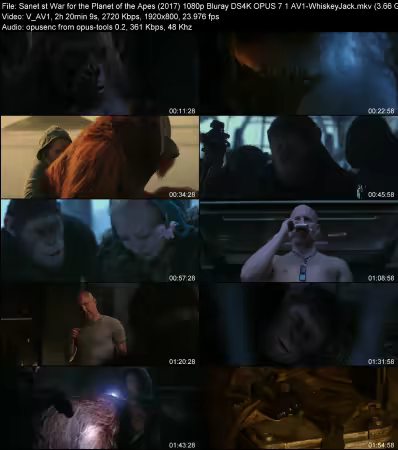 War for the Planet of the Apes 2017 1080p Bluray DS4K OPUS 7.1 AV1-WhiskeyJack