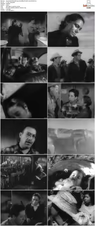 Salt Of The Earth 1954 1080p BDRip DTS HEVC x265-PoPCoRn