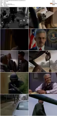 The F.B.I. Files S01 S07 AMZN WEB-DL DDP2.0 H264-playWEB