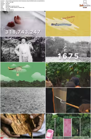 History by the Numbers S01 1080p CUR WEB-DL AAC2.0 H264-BLOOM