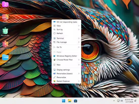 Windows 11 Pro Lite 25H2 Build 26200.7840 Aretha 11 Edition