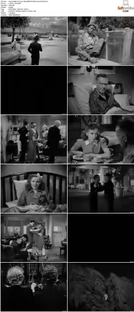 High Sierra 1941 1080p BDRip DTS HEVC x265-PoPCoRn