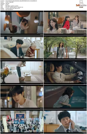 Would You Marry Me S01 1080p DSNP WEB-DL AAC2.0 H264-BiOMA