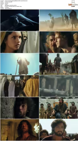 The Bible Collection Jeremiah 1998 1080p BDRip DTS HEVC x265-PoPCoRn
