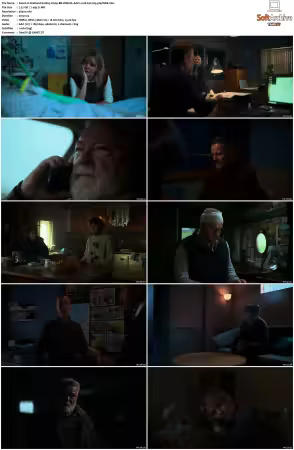 Shetland S10 2160p BB WEB-DL AAC2.0 HLG H265-playWEB