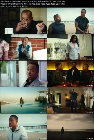 The Perfect Match 2016 1080p BluRay x264-OFT
