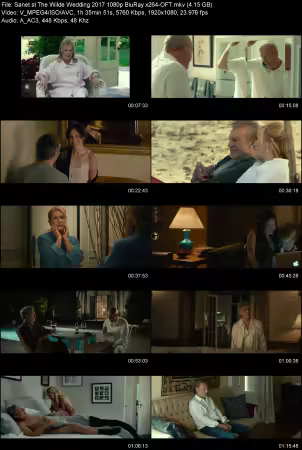 The Wilde Wedding 2017 1080p BluRay x264-OFT