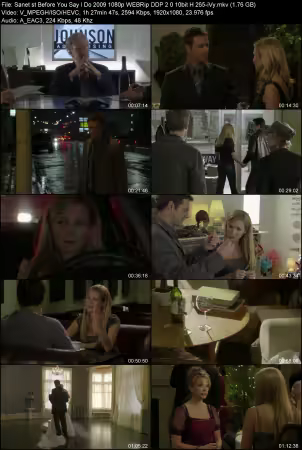 Before You Say I Do 2009 1080p WEBRip DDP 2.0 10bit H265-iVy