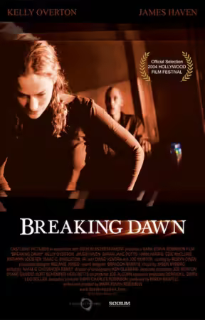 Breaking Dawn 2004 1080p WEBRip x264 AAC-LAMA