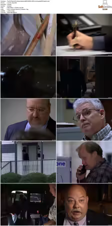 The F.B.I. Files S01 S07 AMZN WEB-DL DDP2.0 H264-playWEB