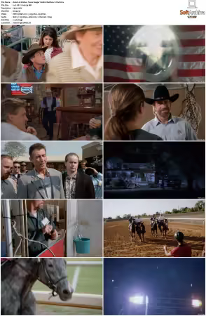 Walker Texas Ranger 1993 S01-S09 1080p WEB-DL H265 10bit DDP2.0-Zero00