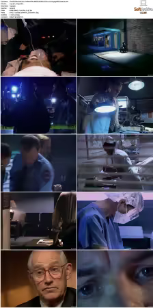 The FBI Files S01 S07 AMZN WEB-DL DDP2.0 H264-playWEB