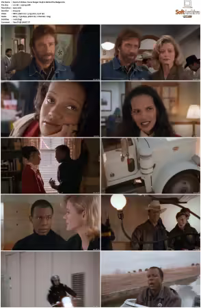 Walker Texas Ranger 1993 S01-S09 1080p WEB-DL H265 10bit DDP2.0-Zero00