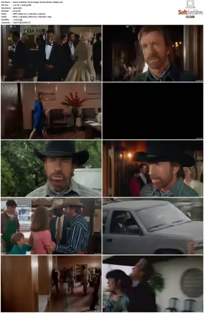 Walker Texas Ranger 1993 S01 S09 1080p WEB-DL H265 10bit DDP2.0-Zero00