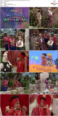Adventures In Wonderland 1992 S01-S03 480p WEB-DL H264 AAC2.0-cT