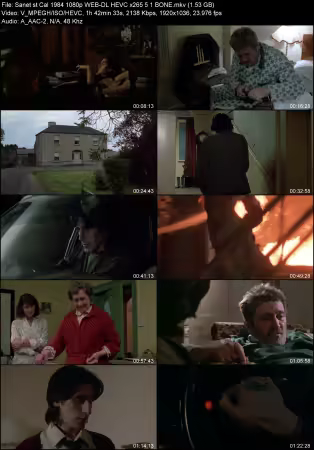 Cal 1984 1080p WEB-DL HEVC x265 5.1 BONE