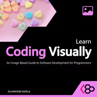 Learn Coding Visually : An Image-Based Guide to Software Development for Programmers