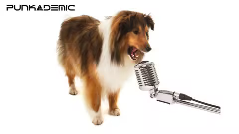 Ear Training &amp; Aural Skills, Part 3: Melodies