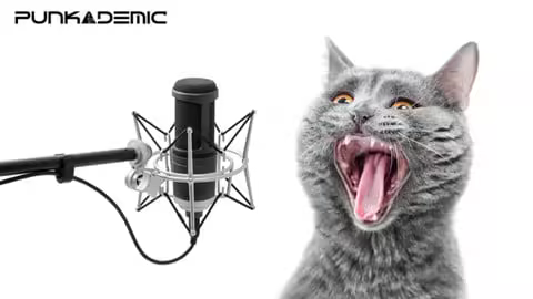 Ear Training &amp; Aural Skills, Part 2: Intervals