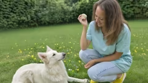 Become A Conscious &amp; Confident Dog Owner