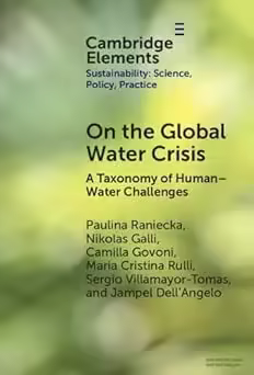 On the Global Water Crisis: A Taxonomy of Human–Water Challenges